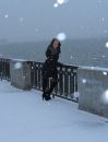 dreamsara