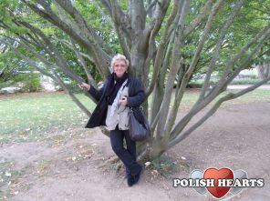 ILDA