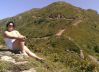 arllett_